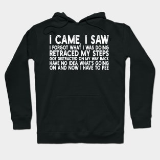 i came, i saw i forgot what i was doing retraced my steps got distracted on my way back have no idea what's going on and now i have to pee Hoodie